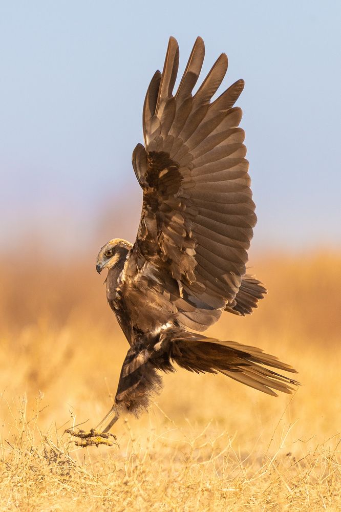 Stay on Rocks, Not on Walls.