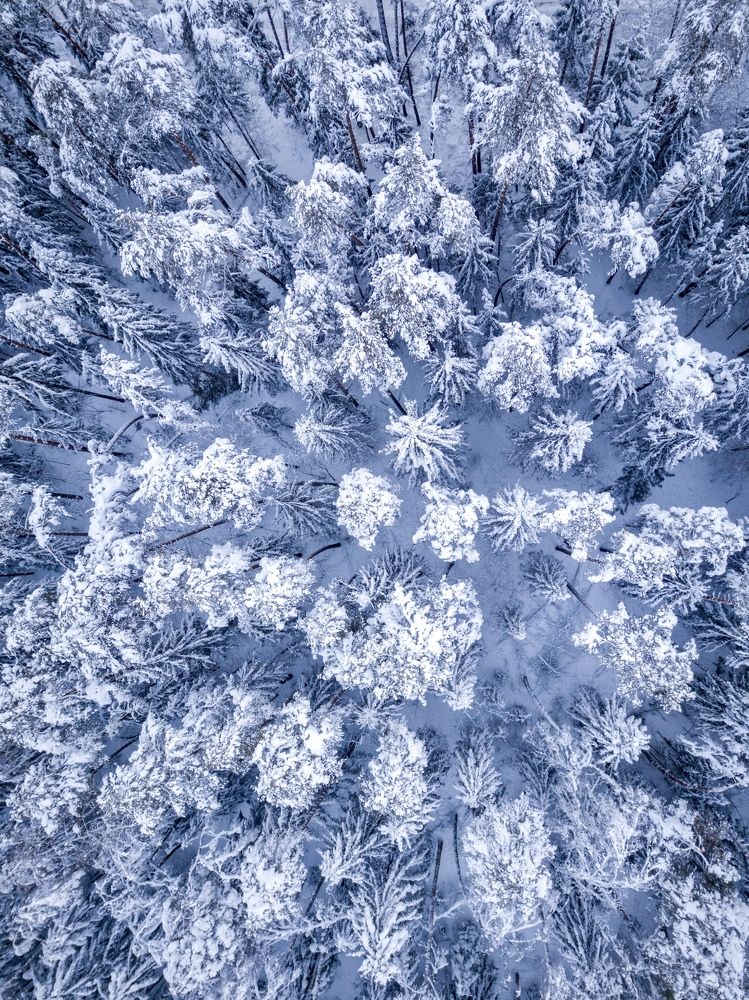 Photograph by Сергей Фаренюк