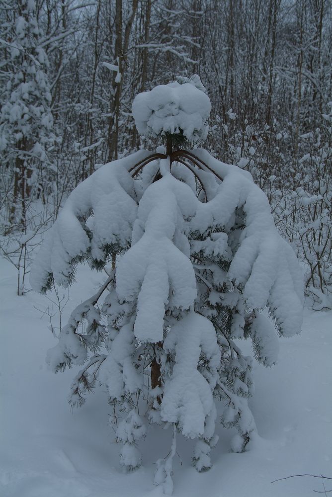 Photograph by Андрей Михайлов