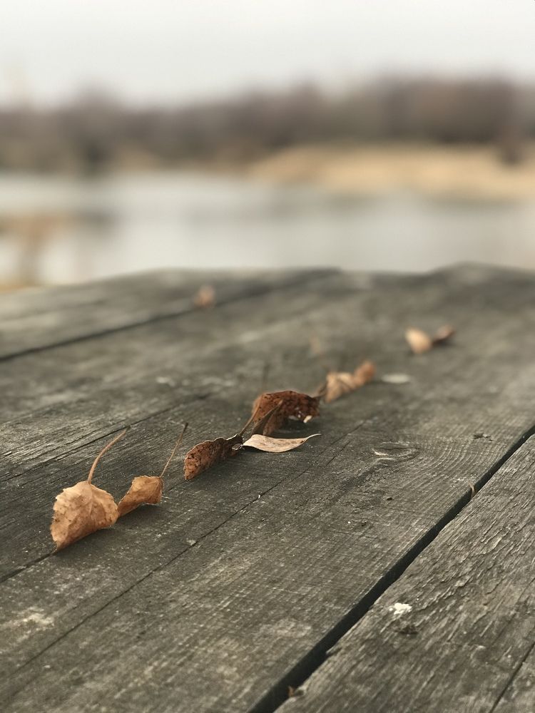 Photograph by Корнеевец Мария