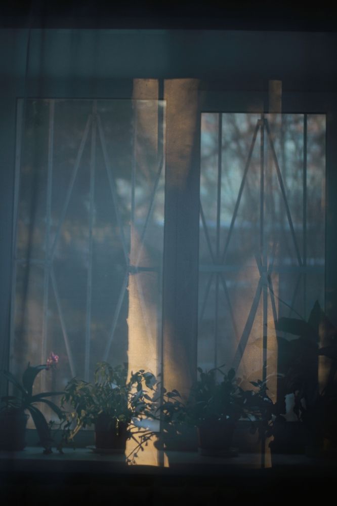 Photograph by Наталья Окишева