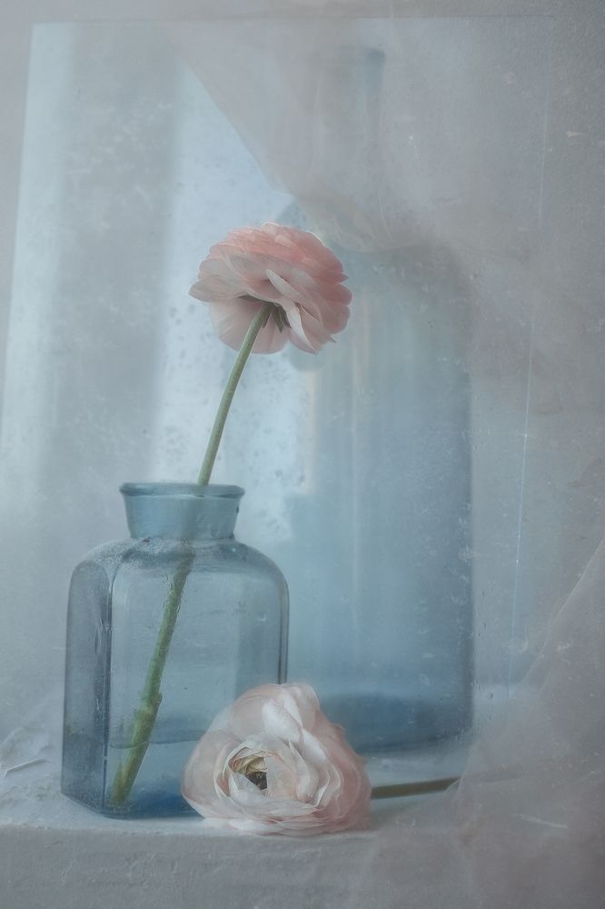 Photograph by Svoboda Andreeva