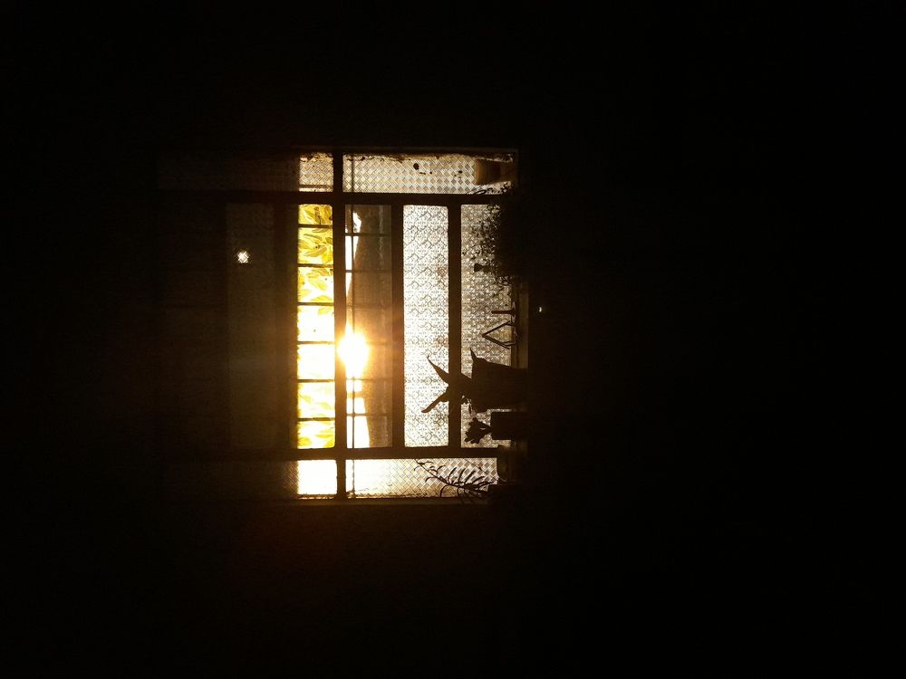 Entre mundos