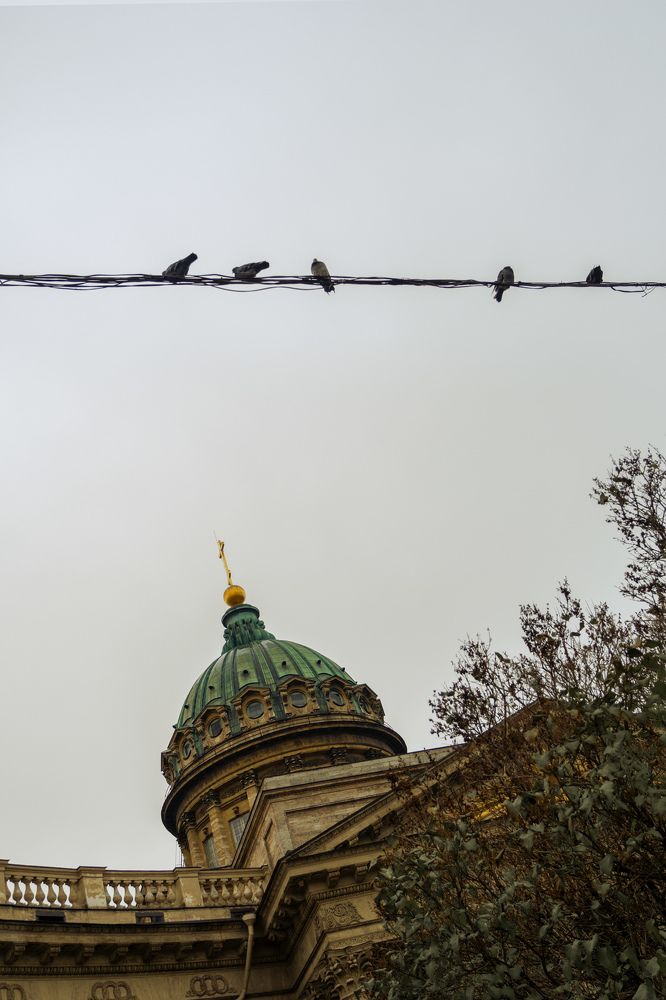 Foggy autumn St. Petersburg