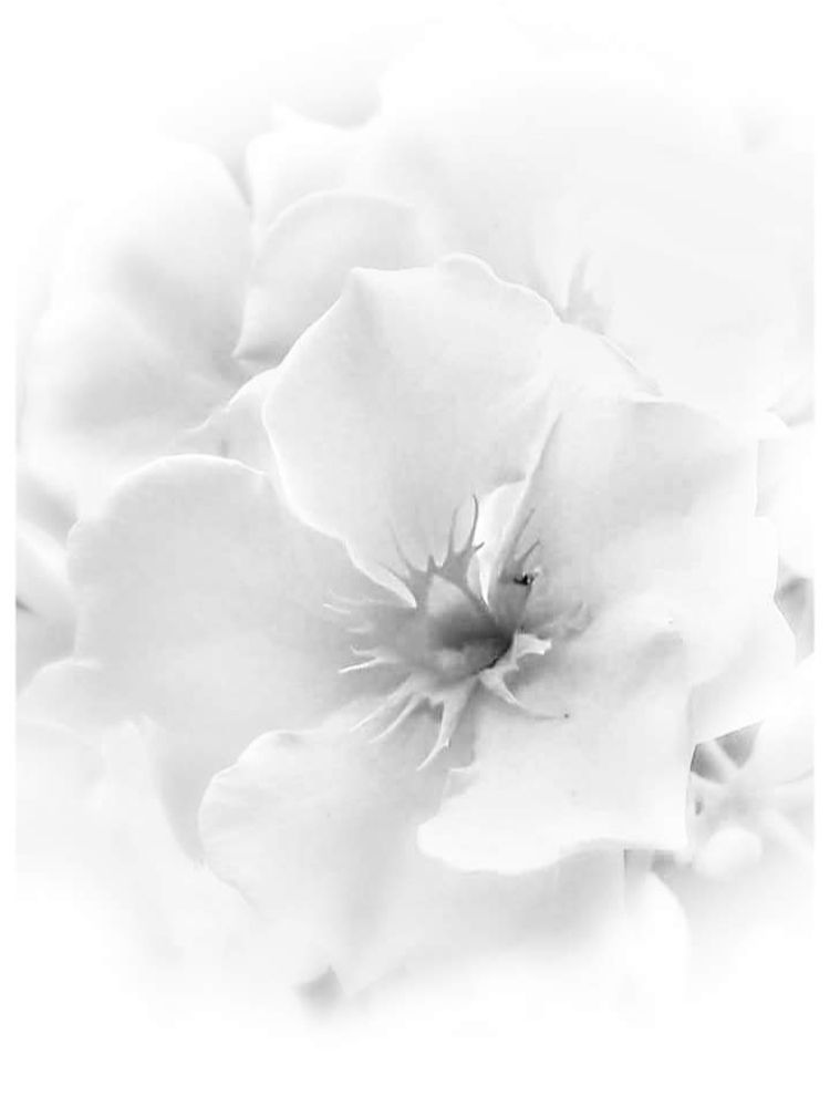 Photograph by Polina Svirida