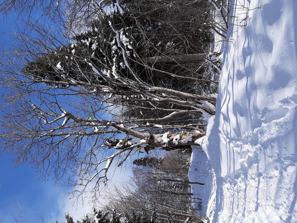 Photograph by Виктория Стецко