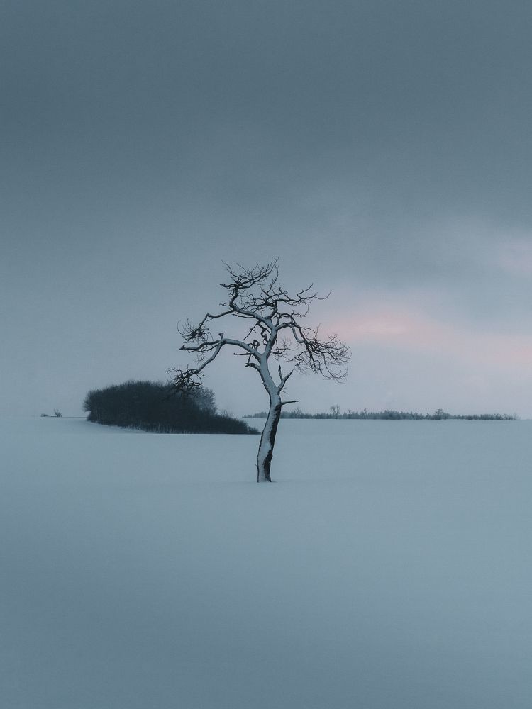 Photograph by Pascal von Winterfeld