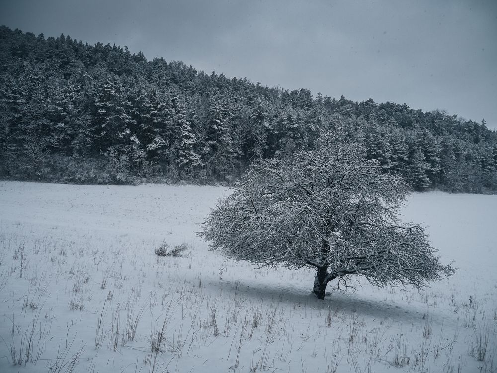 Photograph by Pascal von Winterfeld