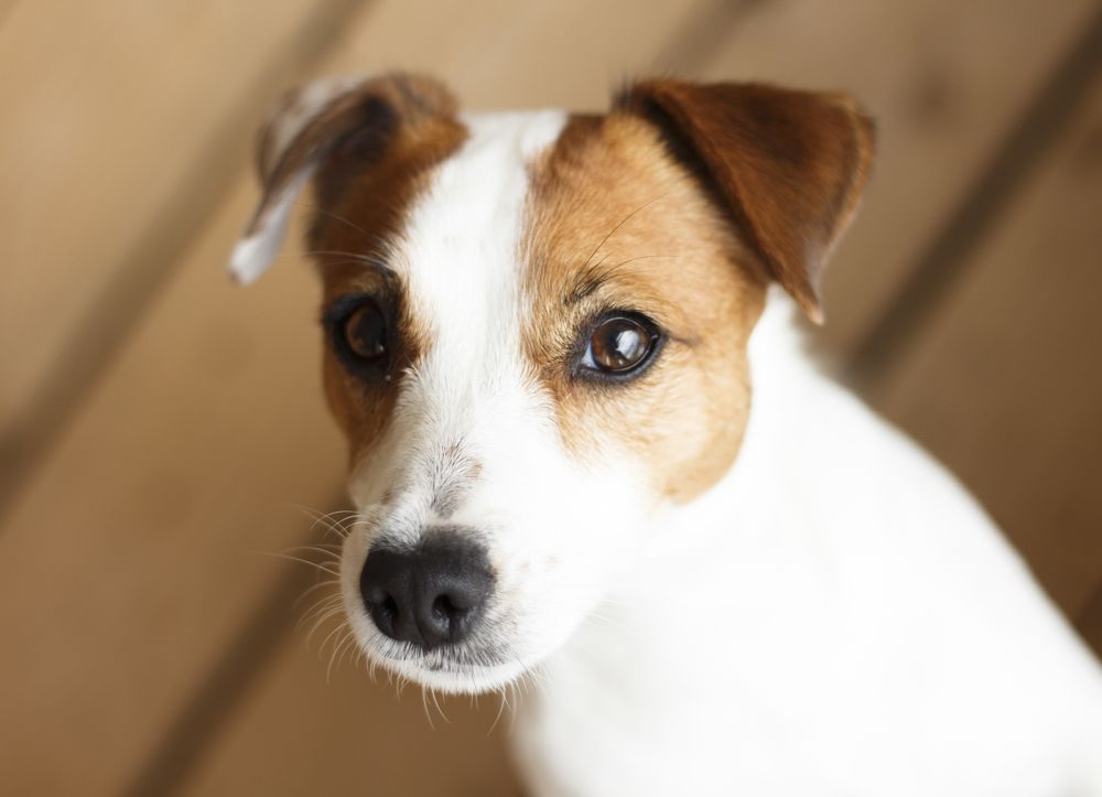 Фотография автора Анна Смирнова