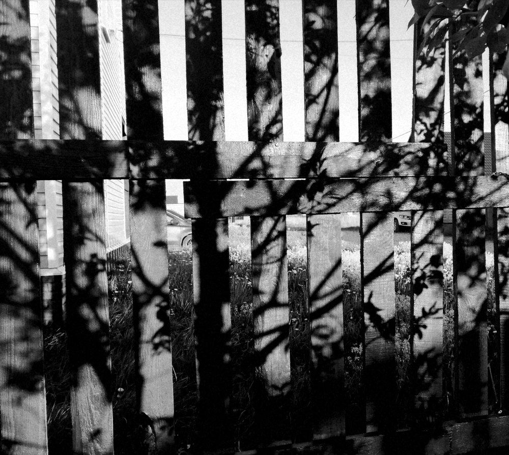 Photograph by Ирина Шевакова