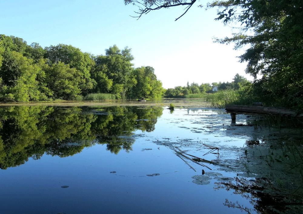 Photograph by Олег Разваляев