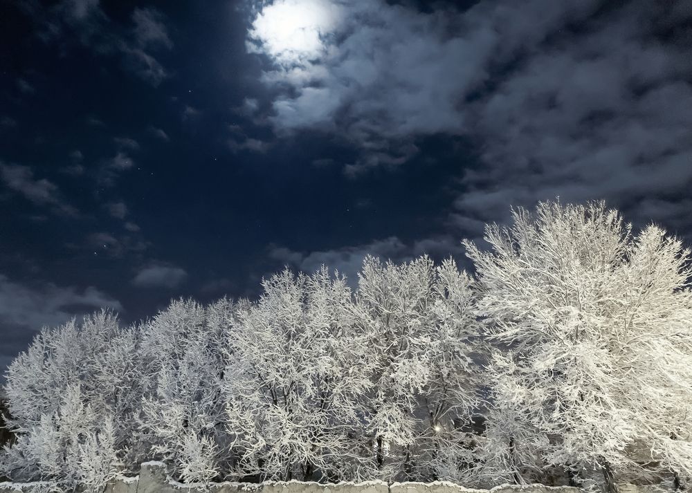 Photograph by saeed Karimi