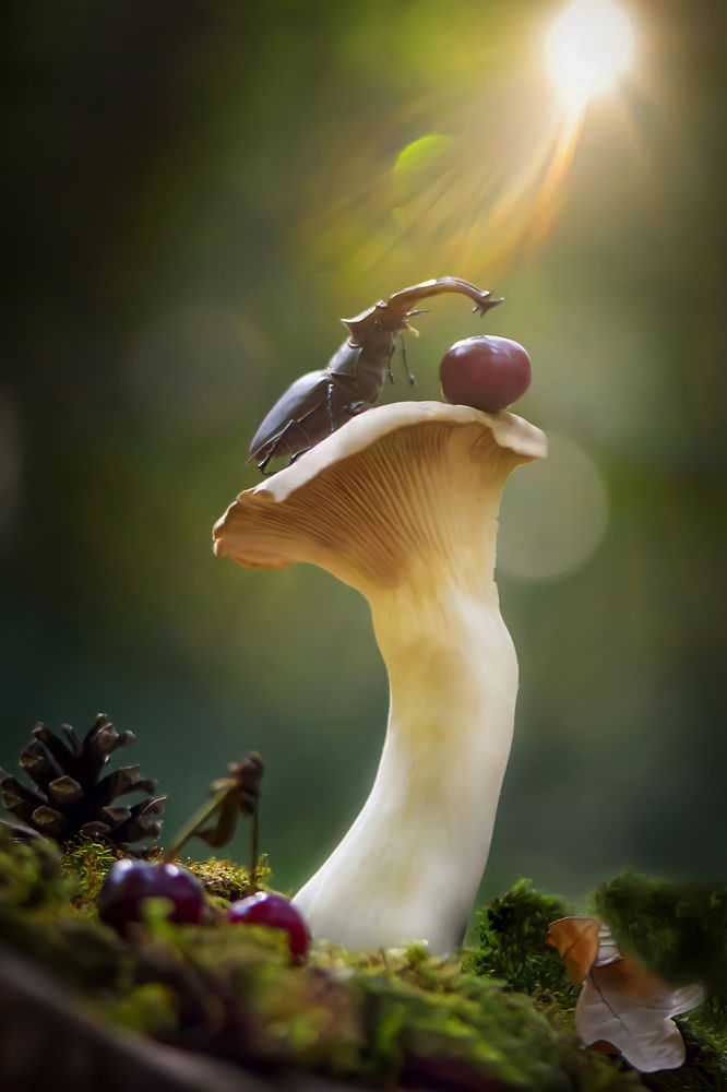 Photograph by Виктория Быканова