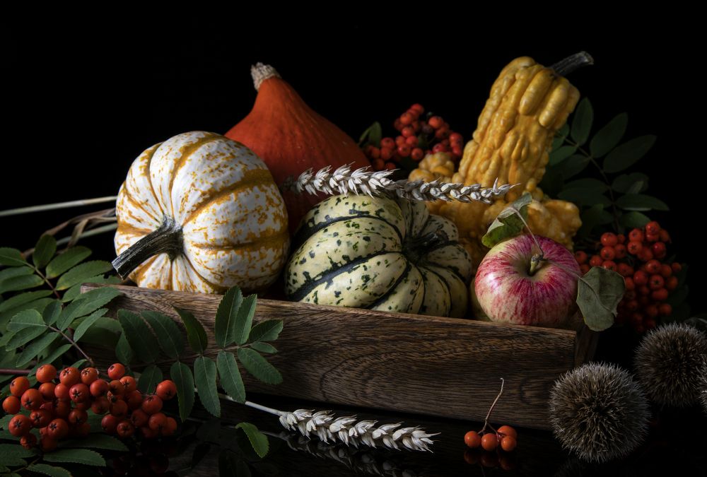 Фотография автора  Lapland