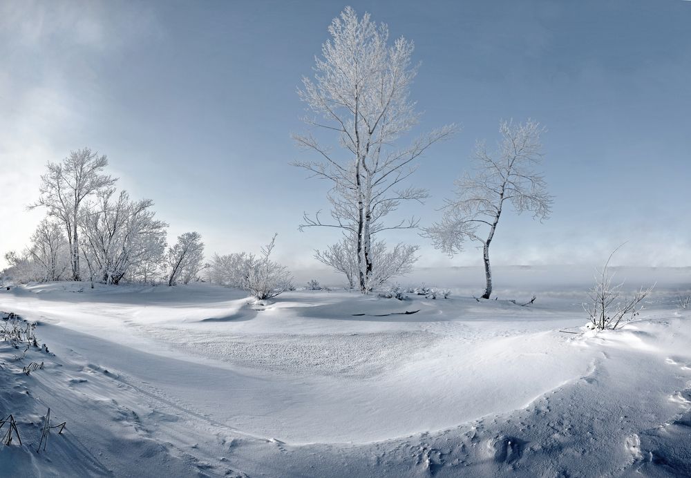 Photograph by Светлана Крат