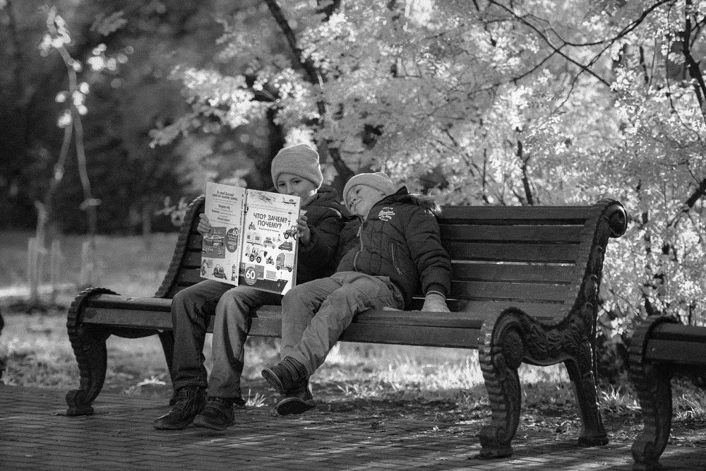 Photograph by Николаева Светлана