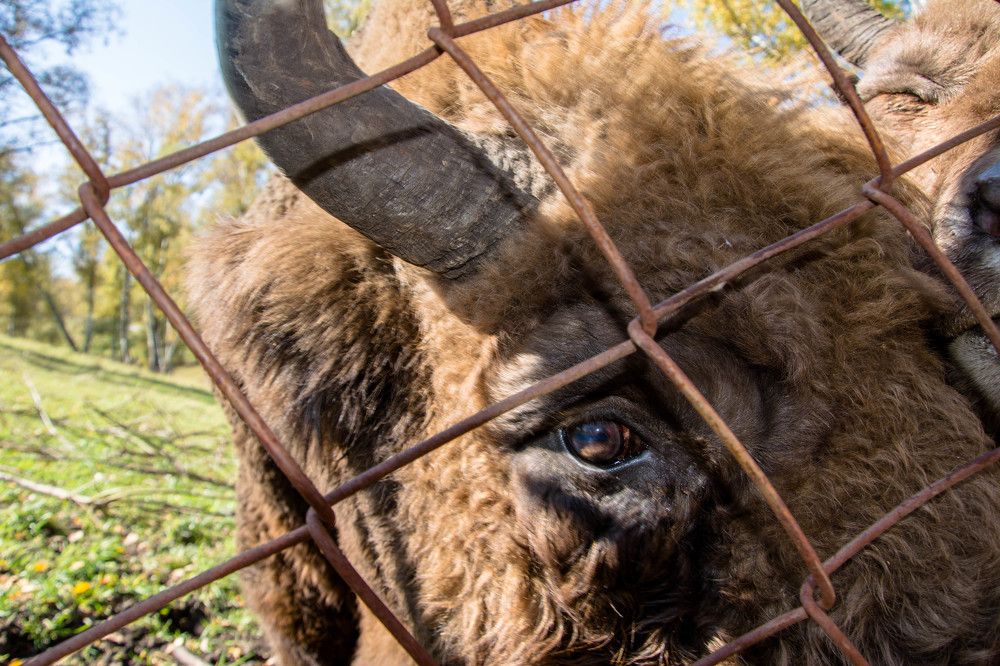 Photograph by Igor Golantsev