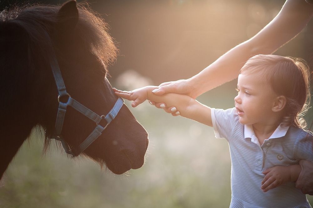 Photograph by Екатерина Жукова