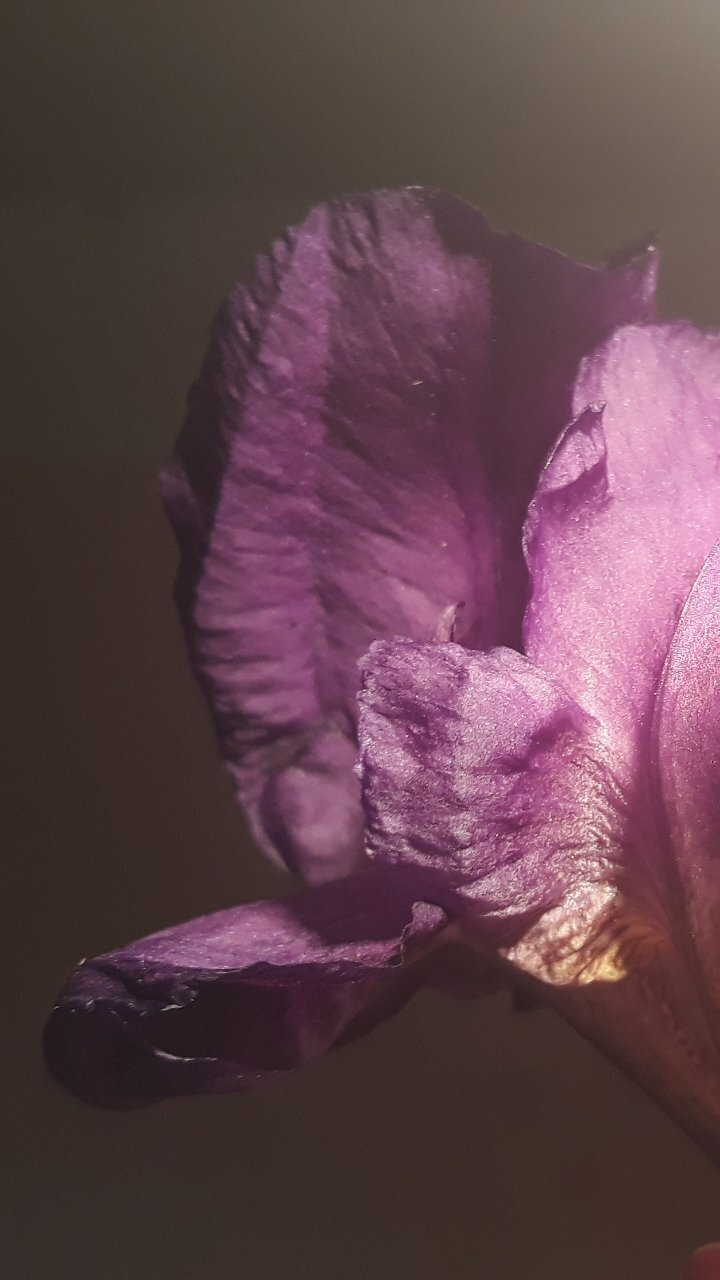 Photo #5908697