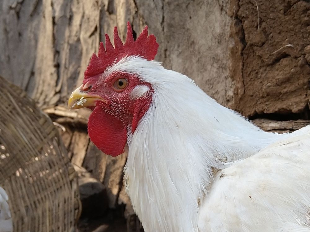 Photograph by sumit sitole