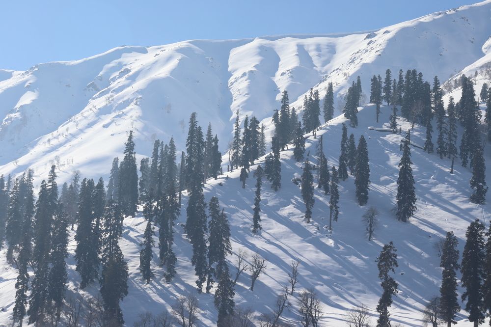 Photograph by Firdous Parray