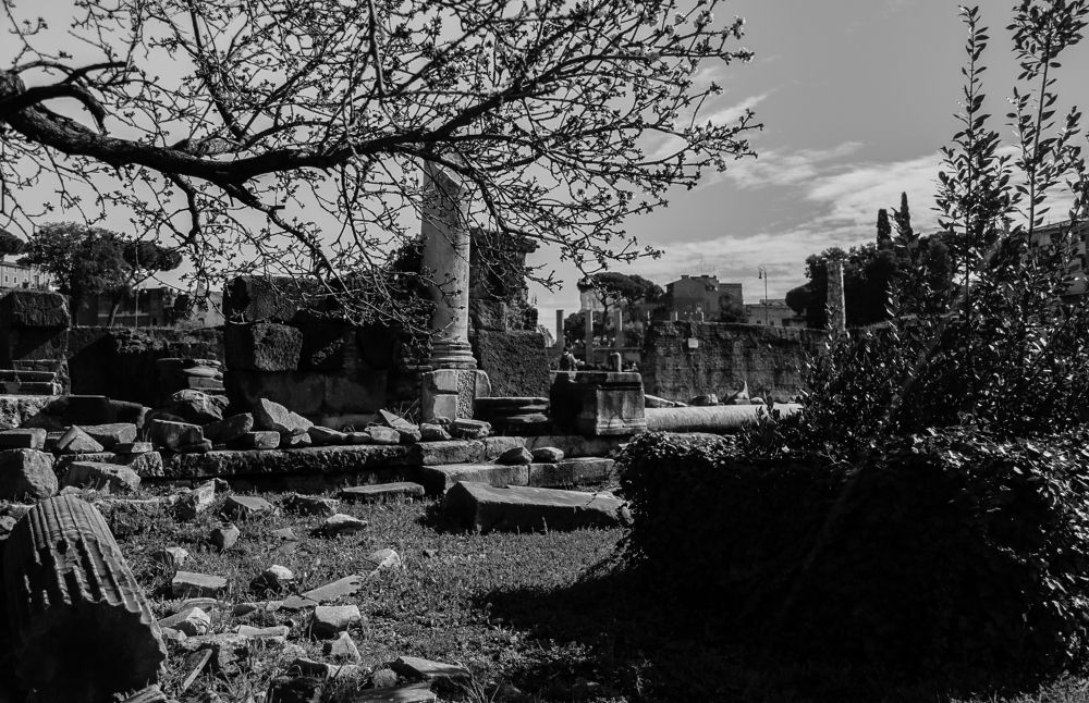 Photograph by АЛЕНА ГУЛЕНКО