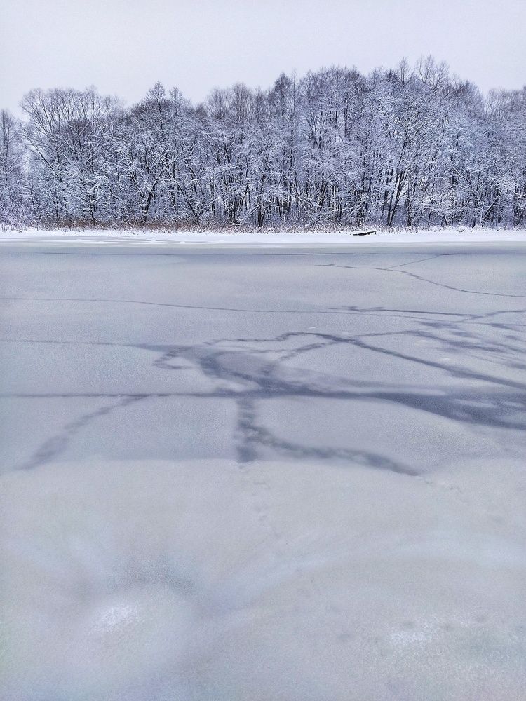 Photograph by Татьяна Мазок