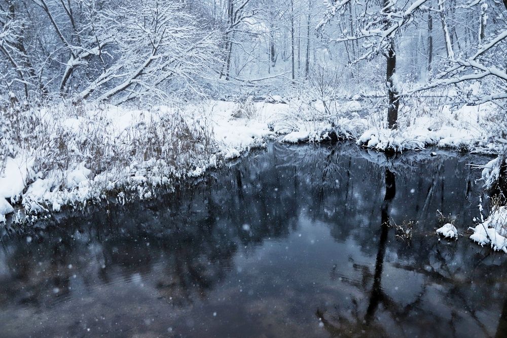 Photograph by Татьяна Мазок