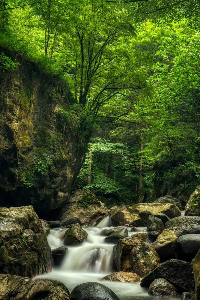 Photograph by hussein