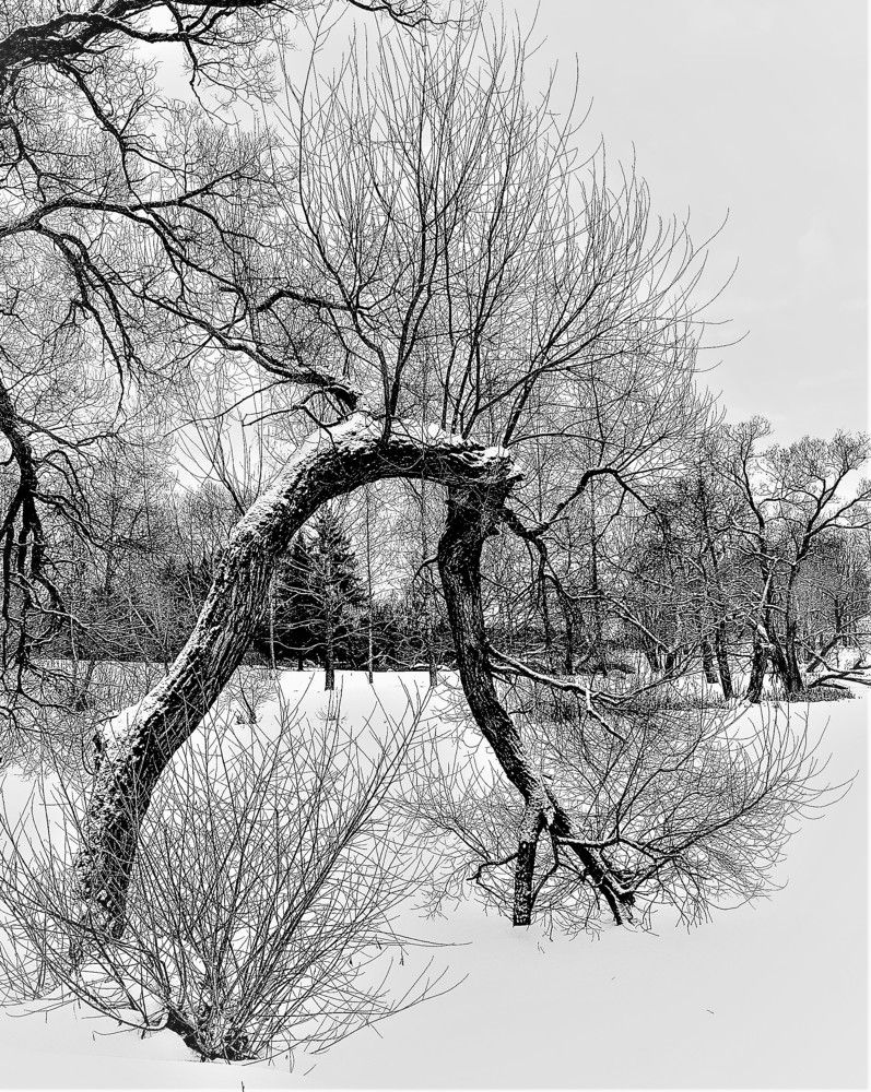 Photograph by Владимир Шнип