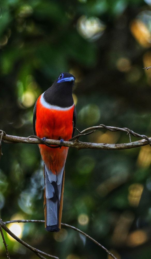 Photograph by prabhakar Gujjarappa