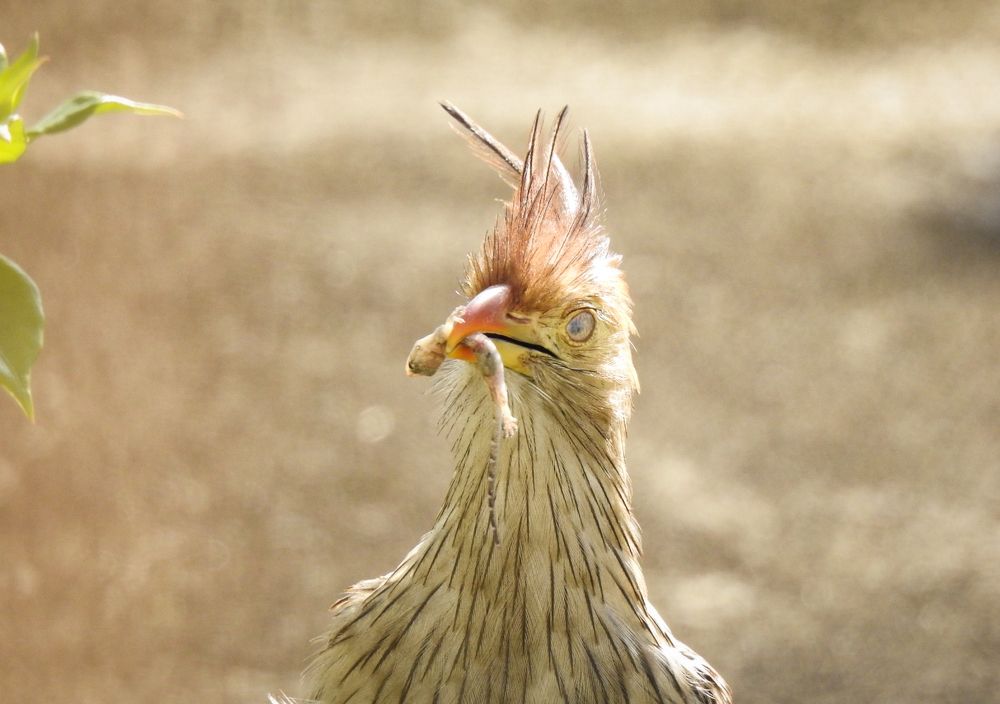 Photograph by Lia Pereira