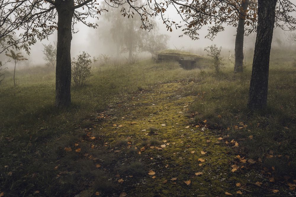 Фотография автора 