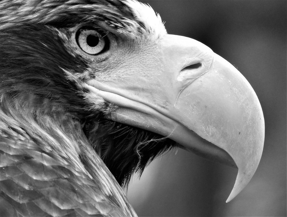 Photograph by Radek Matouš