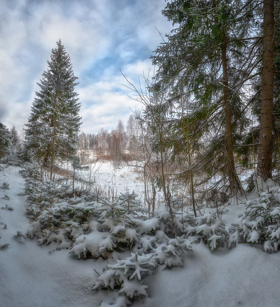 Photograph by Николай Андреев