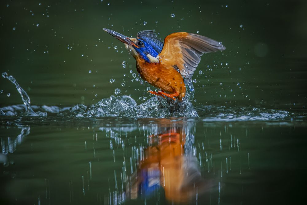 Photograph by Setiadi Ajar