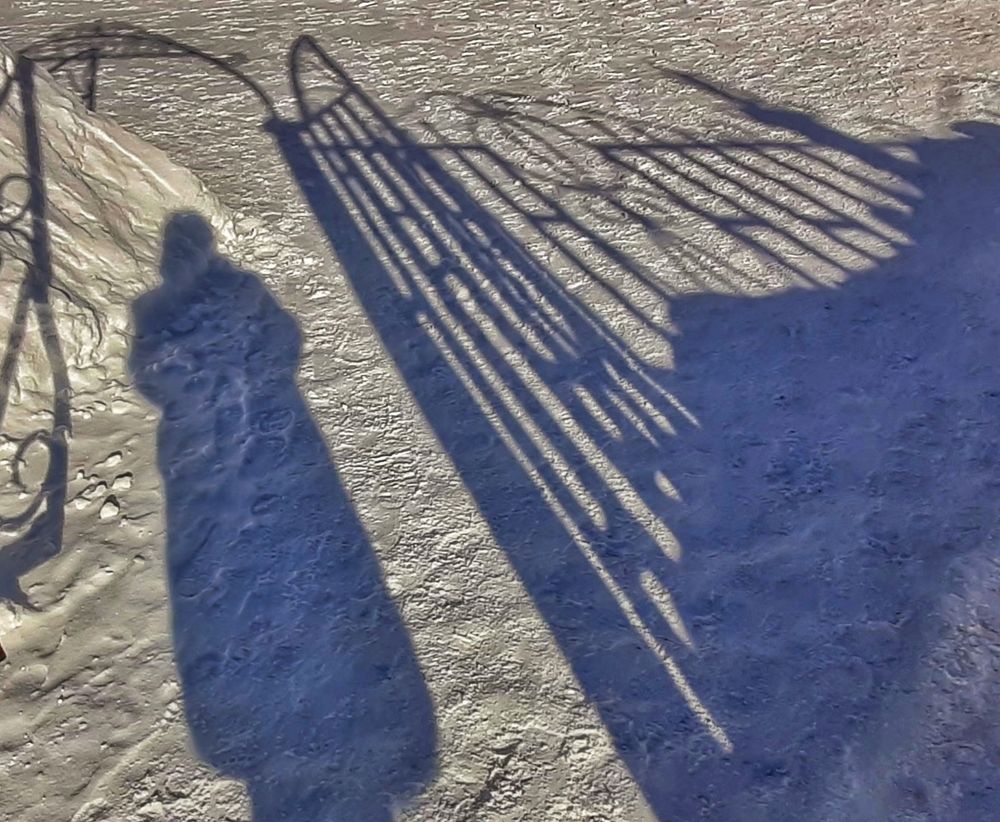 Тени на снегу