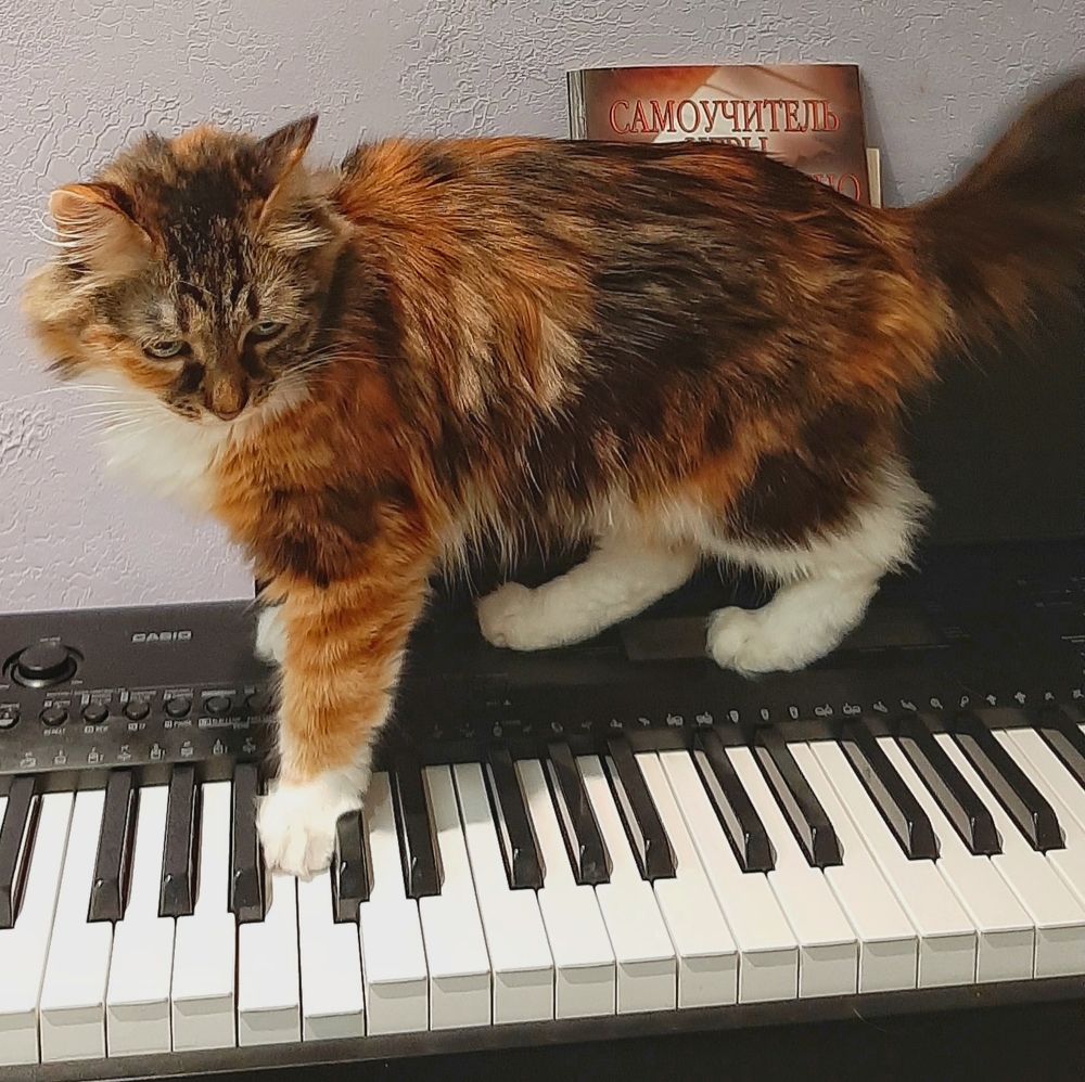 СамоМяучитель