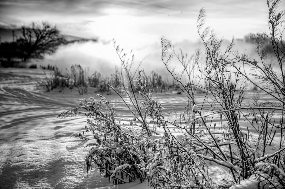 Фотография автора Артур Петросян