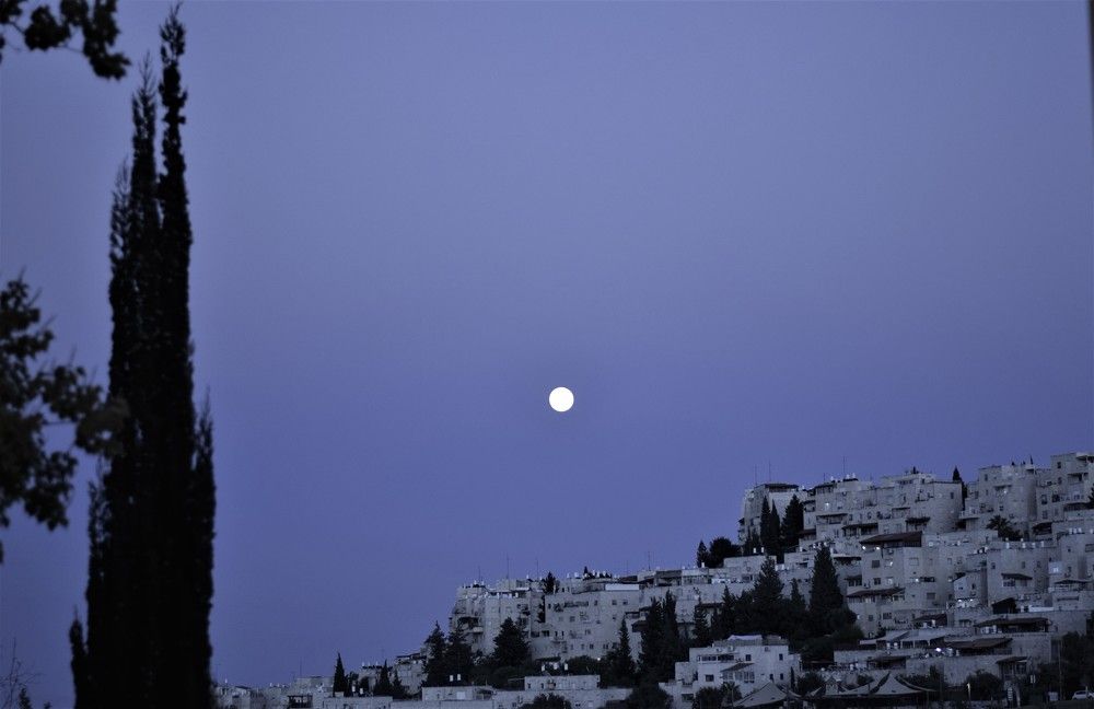 Photograph by Marina Eremin