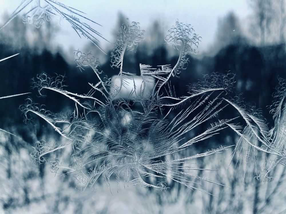 Февральские узоры