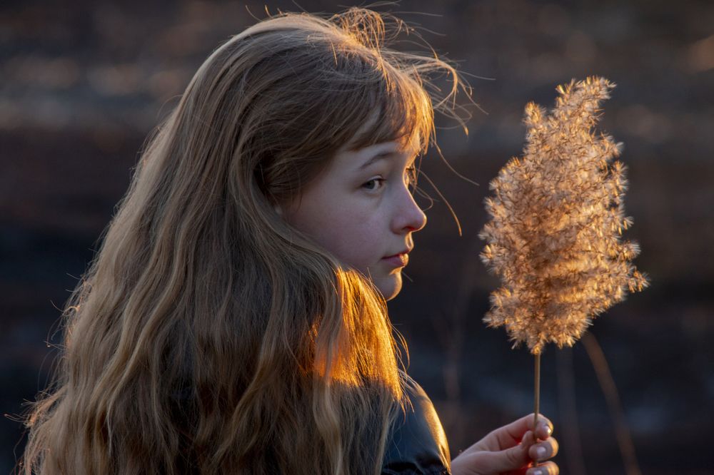 в лучах весеннего солнца