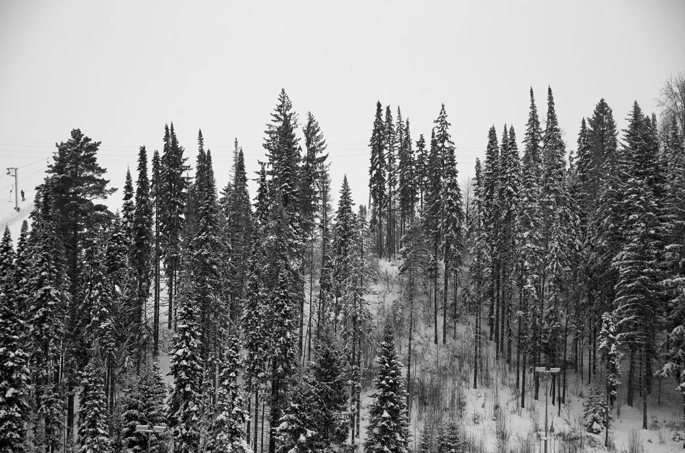 Photograph by Камиль Ахметшин