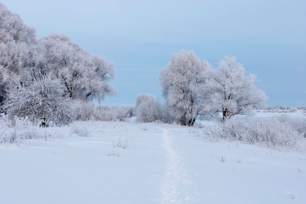 Photograph by Александр Калегин