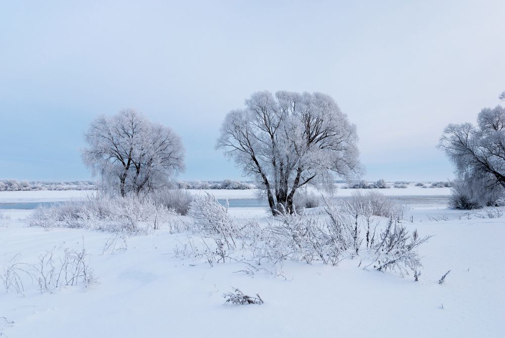 Photograph by Александр Калегин