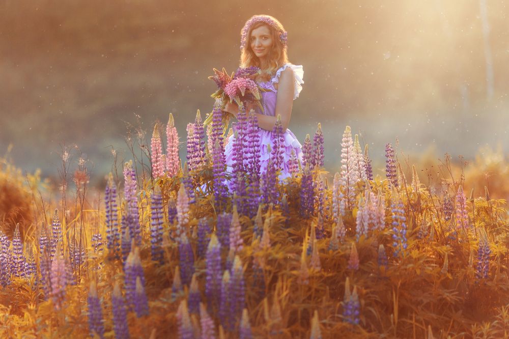 Люпиновая сказка