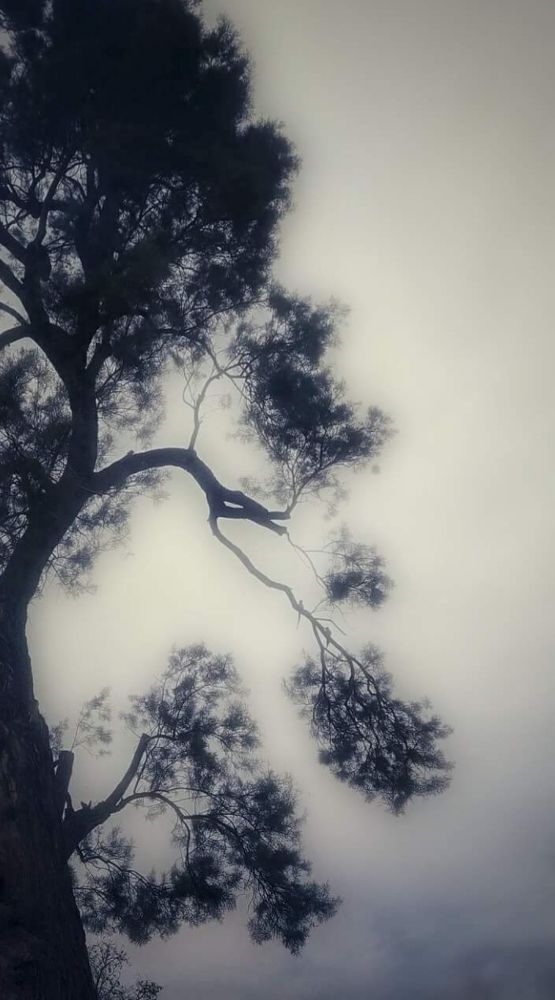 Photograph by Polina Svirida