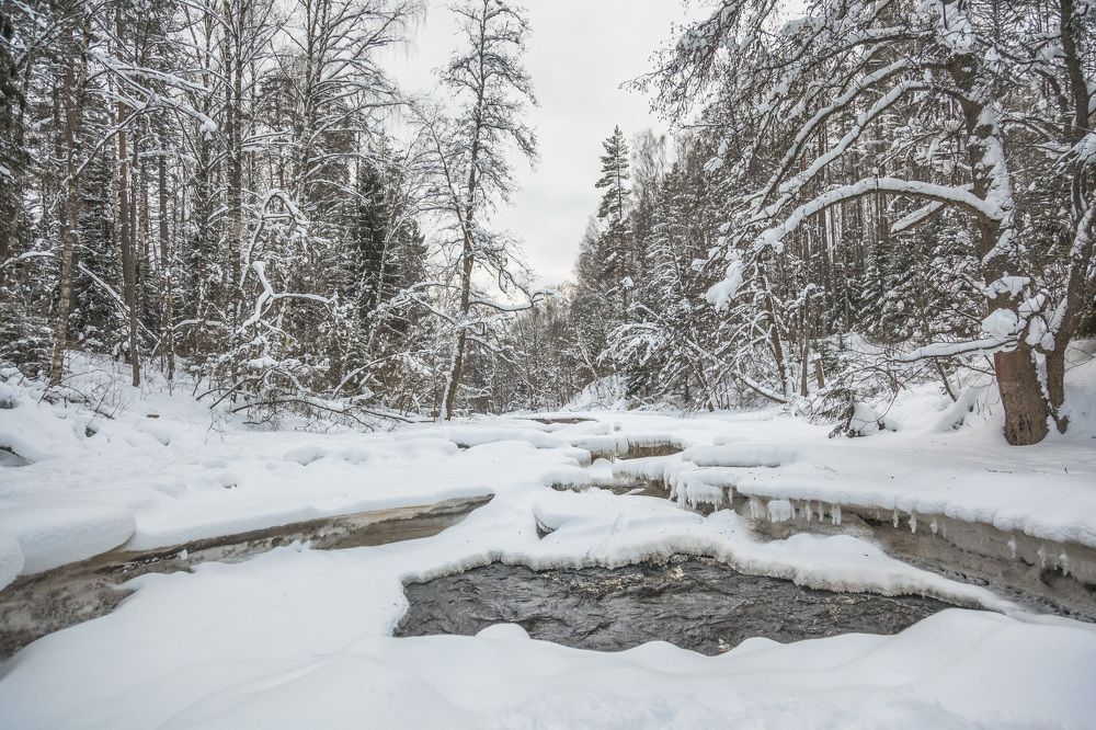 Photograph by Станислав Напалкин