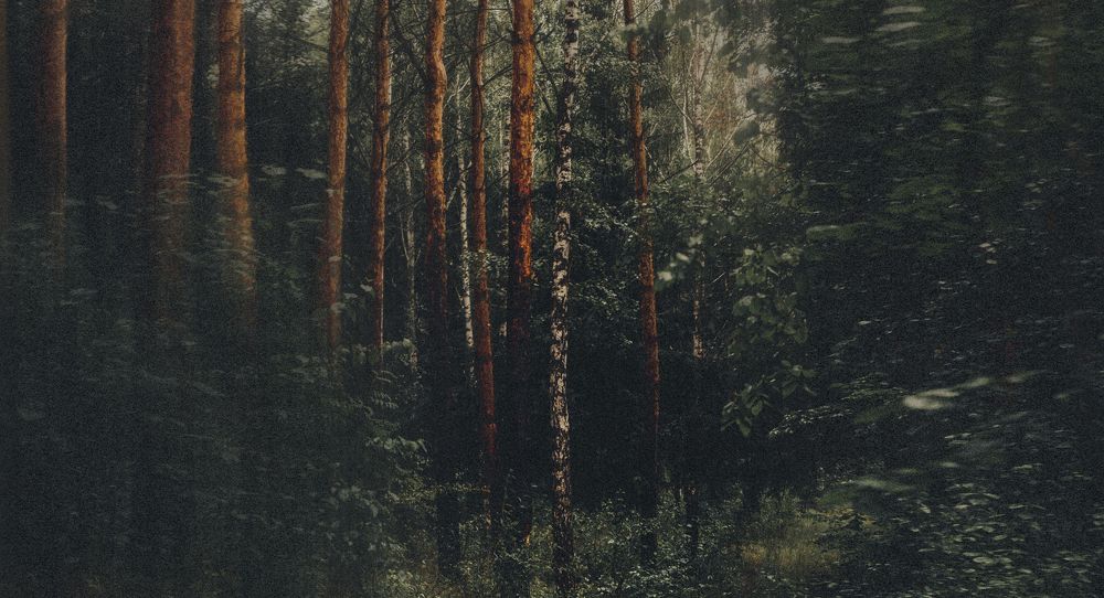 Фотография автора Олег Сухенко