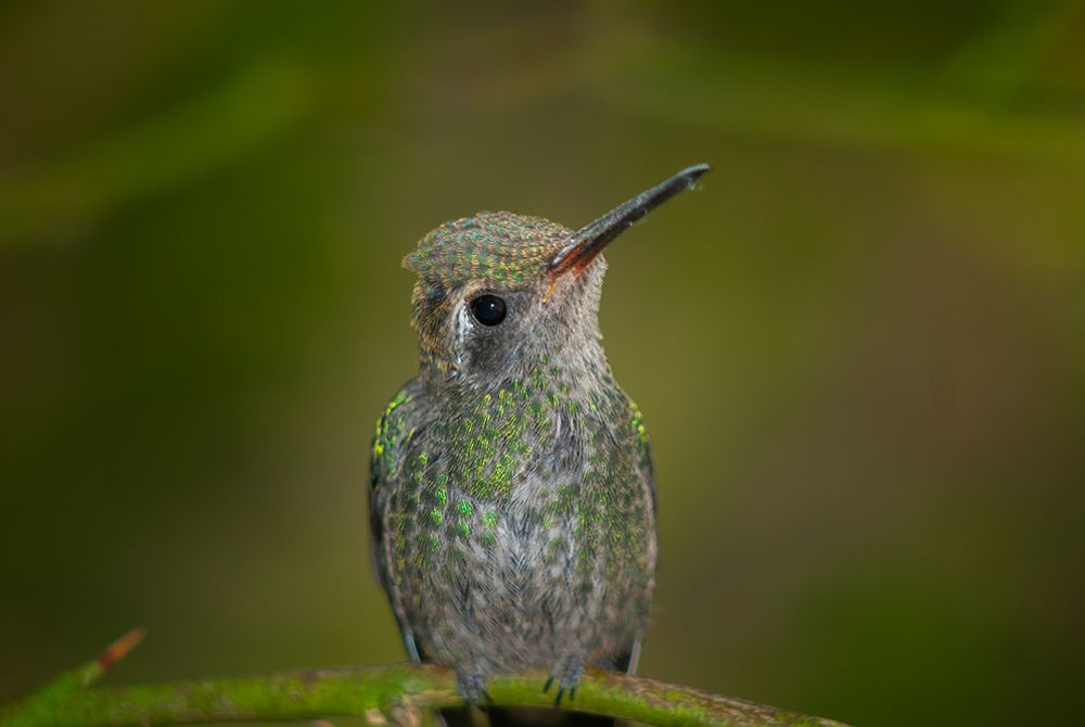 Photograph by Raúl Navarro González